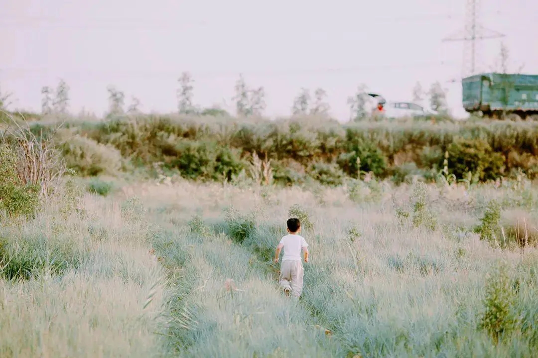 Nuôi dạy bé trai giống như trồng cây, cha mẹ cần chăm bón 6 loại dưỡng chất” này-3