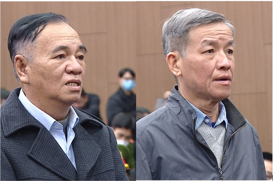 Chuẩn bị xét xử Chủ tịch AIC Nguyễn Thị Thanh Nhàn-2