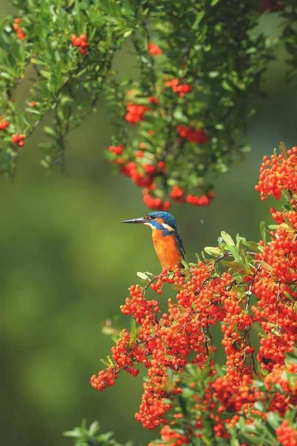 Khởi đầu thuận lợi, 4 con giáp thăng chức, tăng lương trong tháng 5, tương lai một đường thẳng tiến-1