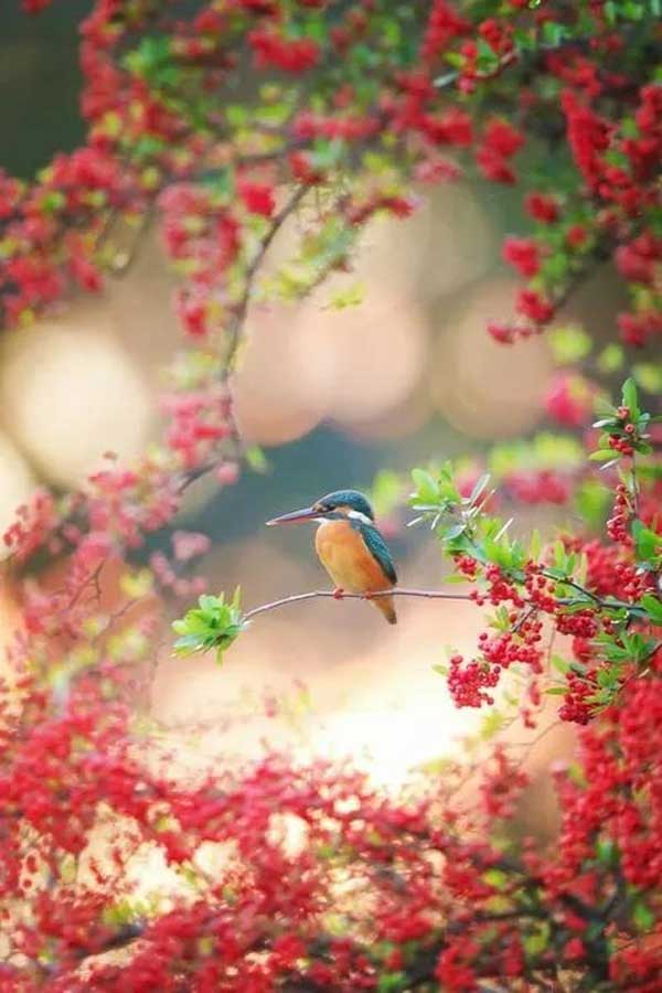 Khởi đầu thuận lợi, 4 con giáp thăng chức, tăng lương trong tháng 5, tương lai một đường thẳng tiến-2