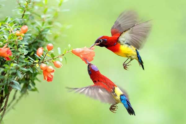 Tử vi ngày 6/5/2023: Tuổi Tỵ may mắn bất ngờ, tuổi Dậu quý nhân đứng sau-4