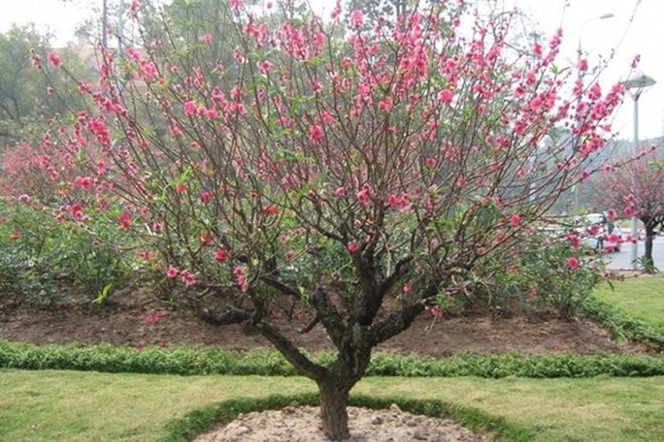 4 vị trí trong nhà để trống chẳng khác nào quét lộc ra sân, đổ càng đầy tài lộc càng vượng-2