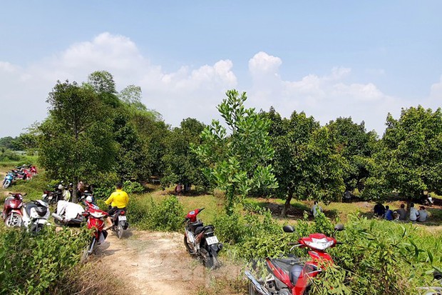 Người phụ nữ tử vong bất thường cạnh con dao, gói thuốc lá ở trong vườn trái cây-3