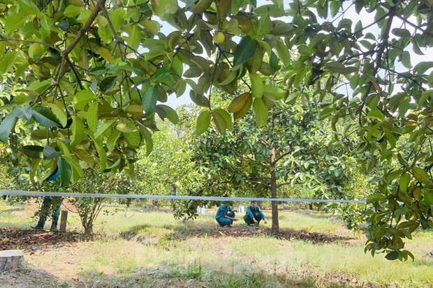 Người phụ nữ tử vong bất thường cạnh con dao, gói thuốc lá ở trong vườn trái cây-5