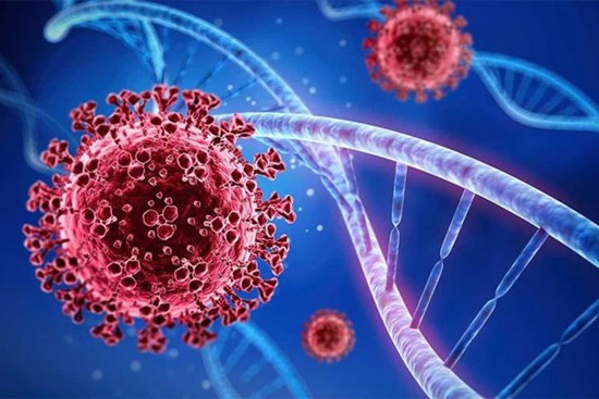 Vĩnh Long có 1 trường hợp tử vong dương tính với virus SARS-CoV-2