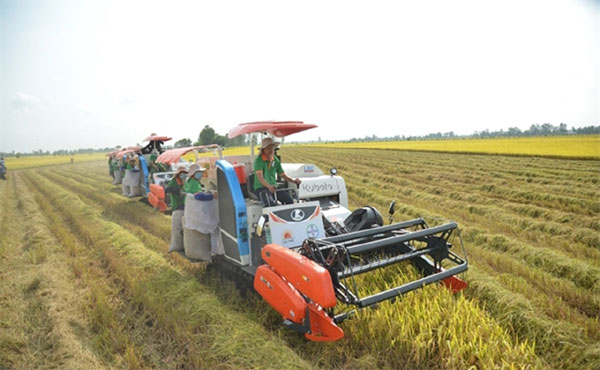 Vua tôm, đại gia gà và trứng lỗ nặng-2