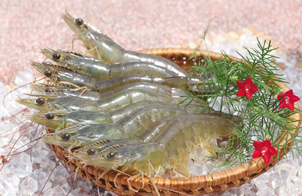 Vua tôm, đại gia gà và trứng lỗ nặng-1