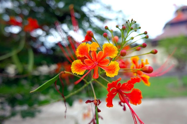 Sinh vào những ngày này nhất định là người gặp nhiều may mắn-4