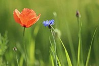 Sinh vào những ngày này nhất định là người gặp nhiều may mắn