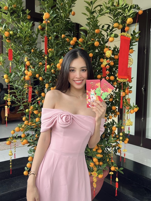 Hoa hậu tỷ lệ vàng Tiểu Vy: Sắc vóc thăng hạng, sống sang chảnh tuổi 23-14