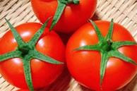 Khi mua cà chua, nên chọn quả có núm 5 cánh hay 6 cánh?