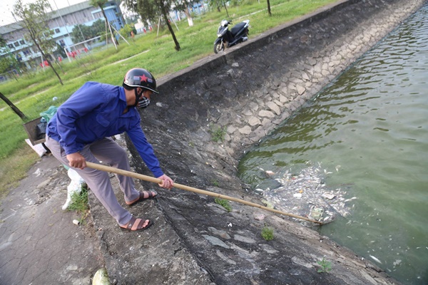 Cá chết nổi trắng hồ điều hòa lớn nhất thành phố Hà Tĩnh-3