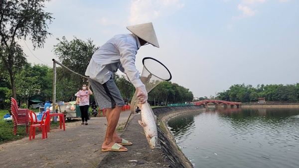 Cá chết nổi trắng hồ điều hòa lớn nhất thành phố Hà Tĩnh-5
