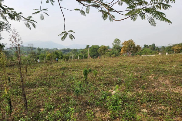 Cá mập sẵn tiền mặt rục rịch gom đất nền cắt lỗ, chuyên gia cảnh báo-1