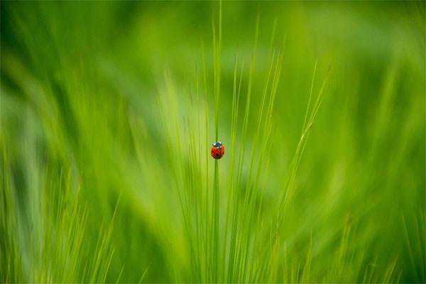 Những người sinh vào thời điểm này không vội vàng, càng khiêm tốn thì càng thành công, có tương lai thịnh vượng và tươi sáng.