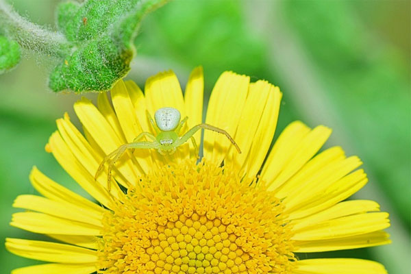 Ai có giờ sinh này không vội vàng, càng khiêm tốn càng thành công, tương lai thịnh vượng, tươi sáng-2