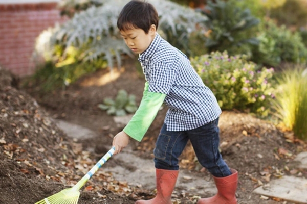 Du học 2 năm tốn gần 7 tỷ đồng, về nhà bà nội đút ăn từng bữa: Bi kịch từ cách dạy con sai lầm-2