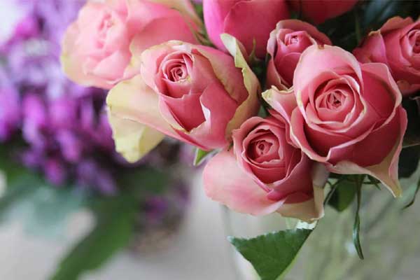 Tử vi tuần mới 8/5 - 14/5/2023: Tuổi Mão cảm xúc thăng hoa, tuổi Thân bước tiến đáng kể-1