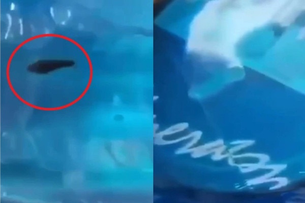 Kẻ xấu đã bỏ con đỉa trong bình nước để hạ uy tín doanh nghiệp?-5