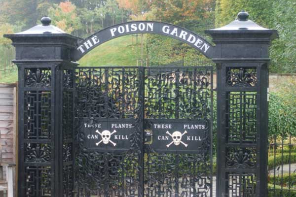 Khu vườn sân thượng 70m2 trĩu nặng rau quả từ căn nhà phố ở Bình Thuận-9