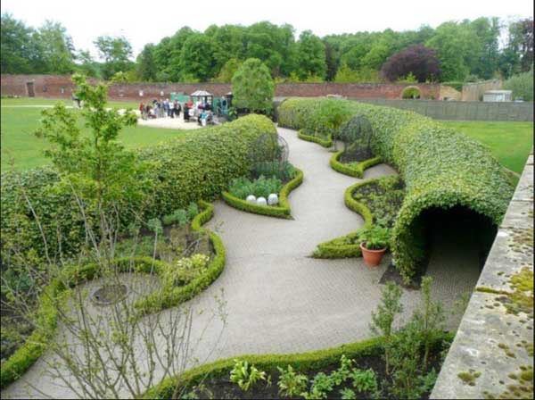 Có gì bên trong khu vườn chỉ cần chạm vào 1 chiếc lá cũng có thể chết người?-2