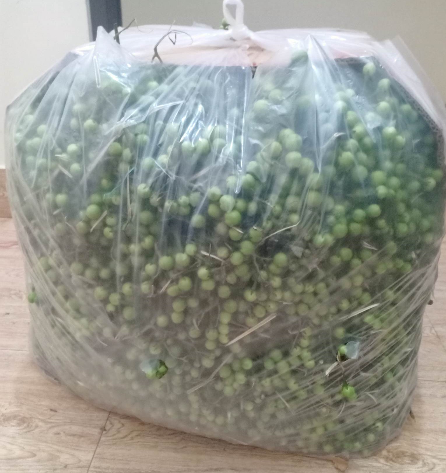 Thứ quả dại thành đặc sản được săn lùng, dân buôn có ngày bán vài chục cân-3