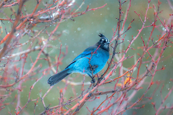Người sinh tháng Âm lịch này không ăn mày dĩ vãng, tính cách cẩn trọng, tất yếu thành công-1