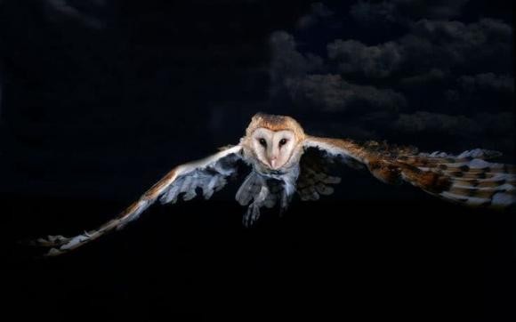 Nhà xuất hiện điều này tưởng chuyện vui, hóa ra là điềm báo tai ương-4