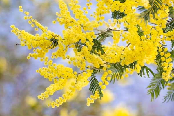 Từ tháng 5, 3 con giáp làm việc hiệu quả cao, thu nhập tốt, phúc lộc đầy nhà, không lo túng thiếu-4