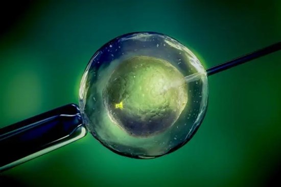 Anh: Em bé đầu tiên mang DNA của 3 người cha mẹ ra đời
