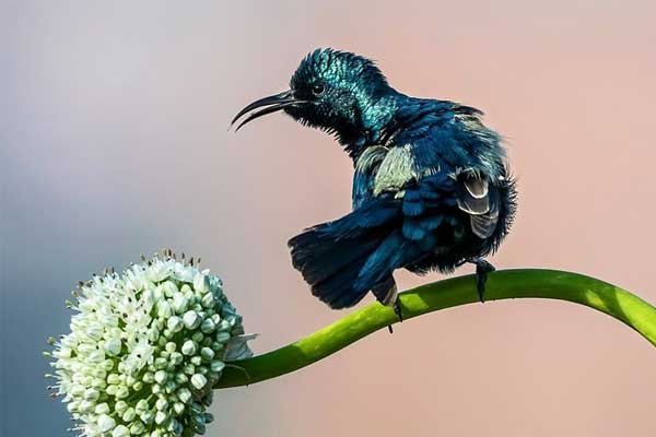 Người sinh vào 5 ngày Âm lịch này, tốt bụng lại khiêm nhường, mùa hè 2023 làm ăn trúng quả đậm-4
