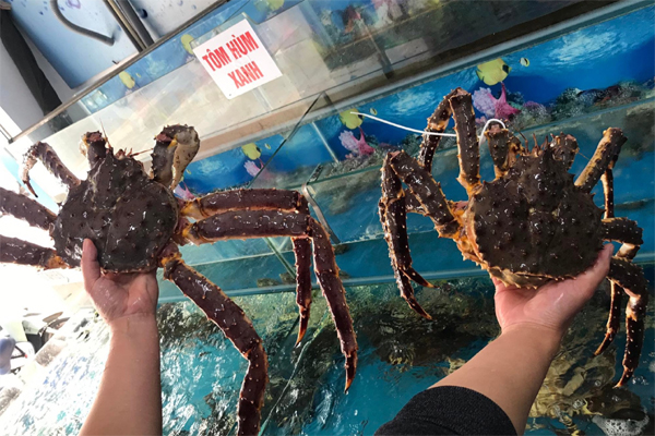 Những loại cua quý hiếm, có tiền cũng khó mua được-6