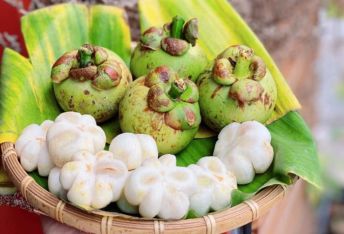 Bắt trend mạng xã hội, ruột măng cụt xanh được săn lùng, giá lên tới nửa triệu/kg-2