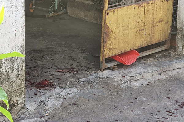 Triệt phá đường dây khép kín quy trình trồng - đóng gói - tiêu thụ cần sa-6