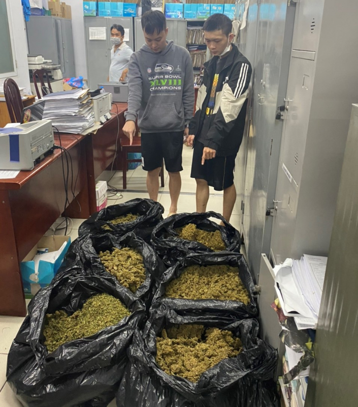 Triệt phá đường dây khép kín quy trình trồng - đóng gói - tiêu thụ cần sa-2
