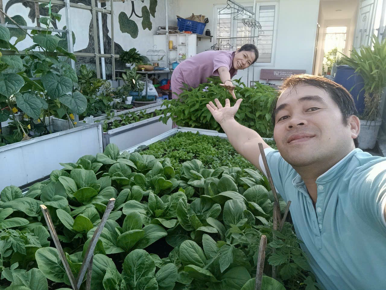 Khu vườn sân thượng 70m2 trĩu nặng rau quả từ căn nhà phố ở Bình Thuận-1