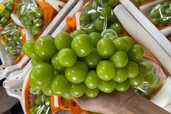 Giá cao hơn hàng Úc, nho Trung Quốc đổ bộ chợ bán ‘đắt như tôm tươi’-1
