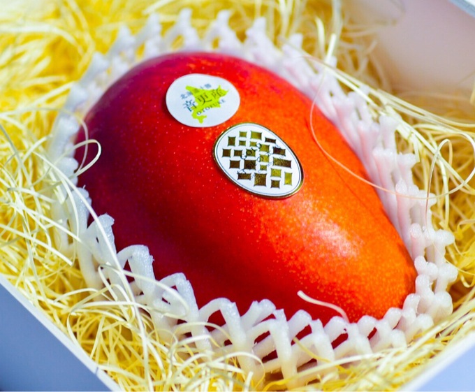 Bí mật về loại xoài đắt nhất thế giới-3