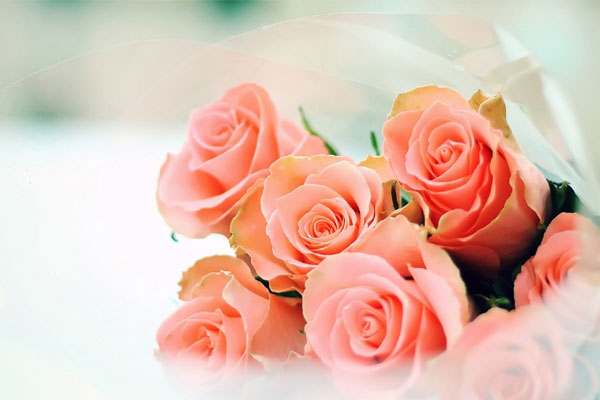 Tử vi ngày 12/5/2023 của 12 cung hoàng đạo: Sư Tử đừng quá áp lực, Bọ Cạp nên tự lượng sức-5