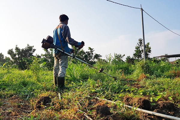 Cạn tiền sau 2 tháng ra sống ở đảo Phú Quý, cô gái hoang mang khi nghĩ đến cảnh về phố tìm việc-5