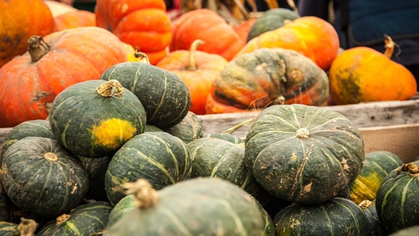 Những loại thực phẩm chứa nhiều vitamin E bạn nên bổ sung hằng ngày-2