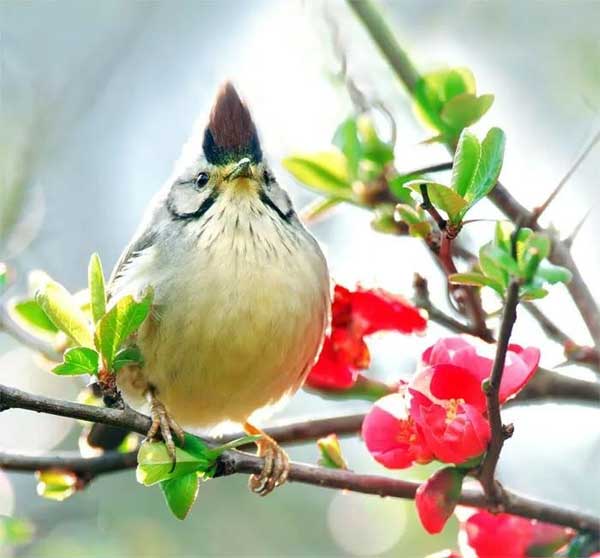 Chăm chỉ làm việc thiện, 4 con giáp vượng vận quý nhân, tháng 5 được mùa, tháng 6 bội thu-1