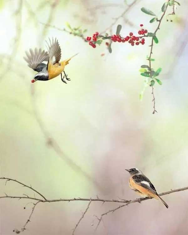 Chăm chỉ làm việc thiện, 4 con giáp vượng vận quý nhân, tháng 5 được mùa, tháng 6 bội thu-2