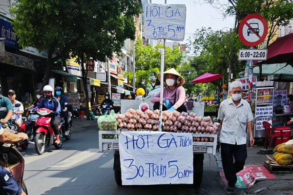 Thầy giáo về hưu nuôi gà Đông Tảo, thu tiền tỷ mỗi năm-5