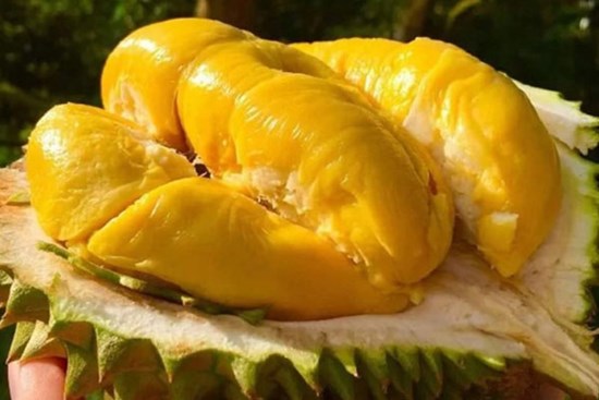 Sầu riêng Việt bán tại siêu thị Vương quốc Anh, 400 nghìn đồng/kg