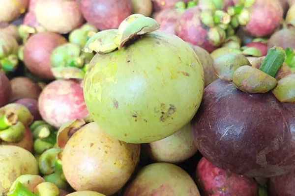 Tiết lộ bí quyết rửa đồ thủy tinh sáng bóng như mới-3