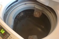 Các bước vệ sinh máy giặt tại nhà không cần gọi thợ