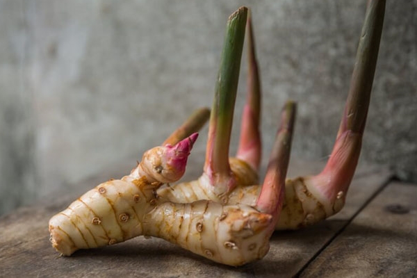 Người không dễ mắc ung thư thường có 4 đặc điểm-4