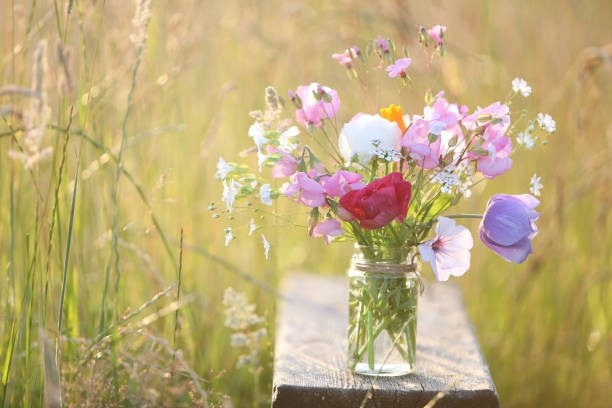 Tử vi tuần mới 15/5 - 21/5/2023: Tuổi Dần tranh đấu liên tiếp, tuổi Thân khẳng định vị thế-1