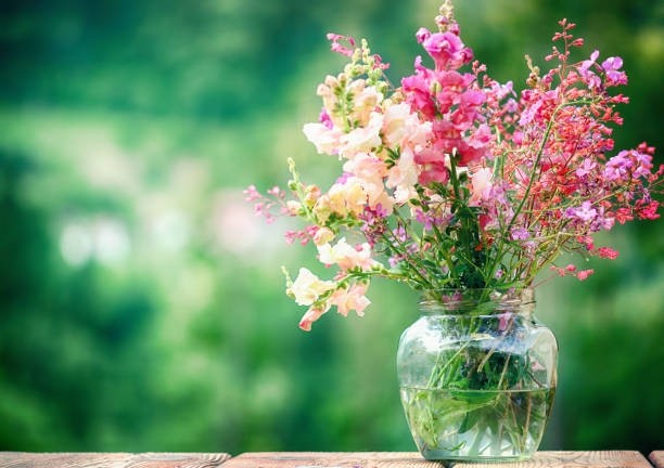 Tử vi tuần mới 15/5 - 21/5/2023: Tuổi Dần tranh đấu liên tiếp, tuổi Thân khẳng định vị thế-3